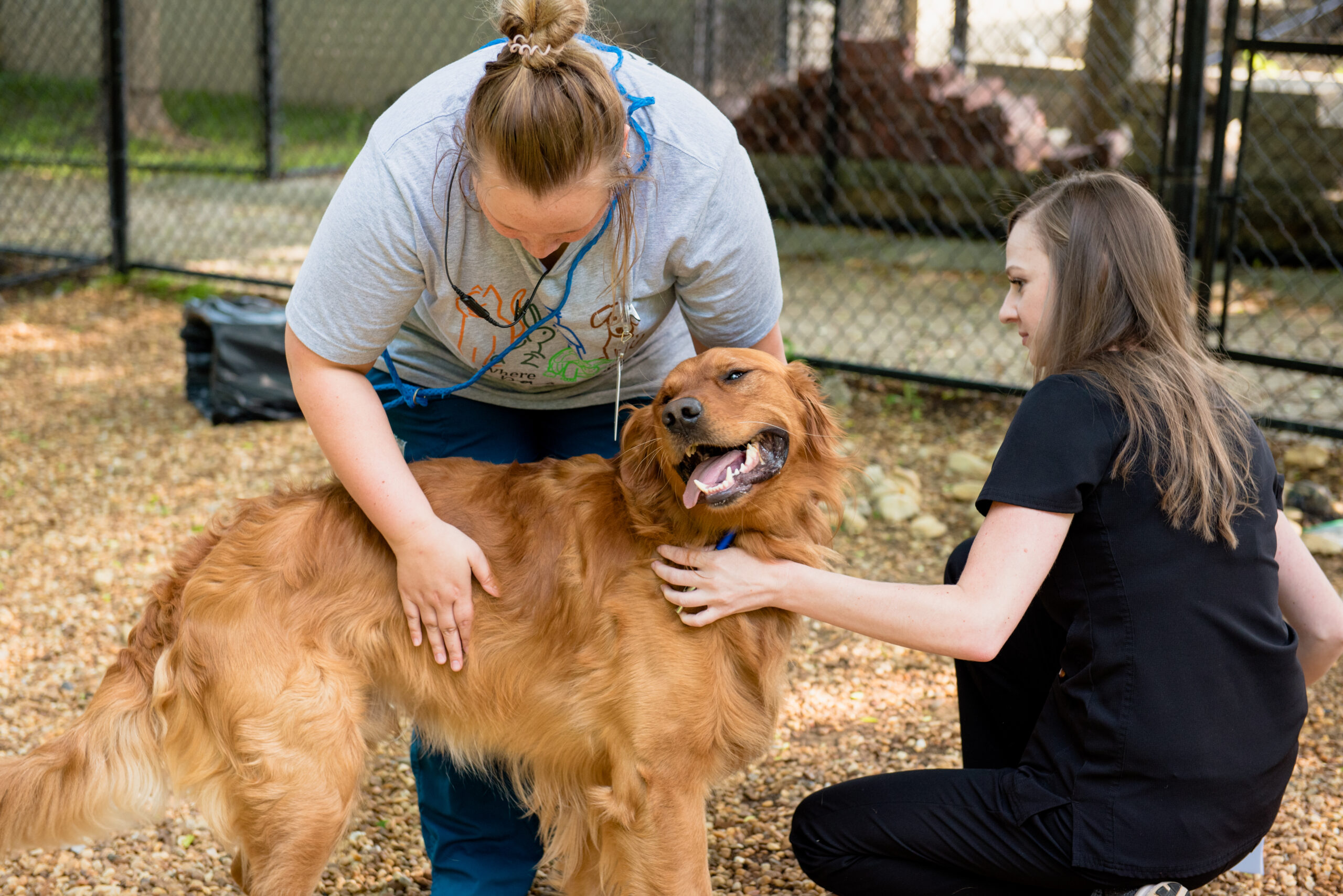 Pet Boarding Near Me 35242 Riverview Animal Clinic